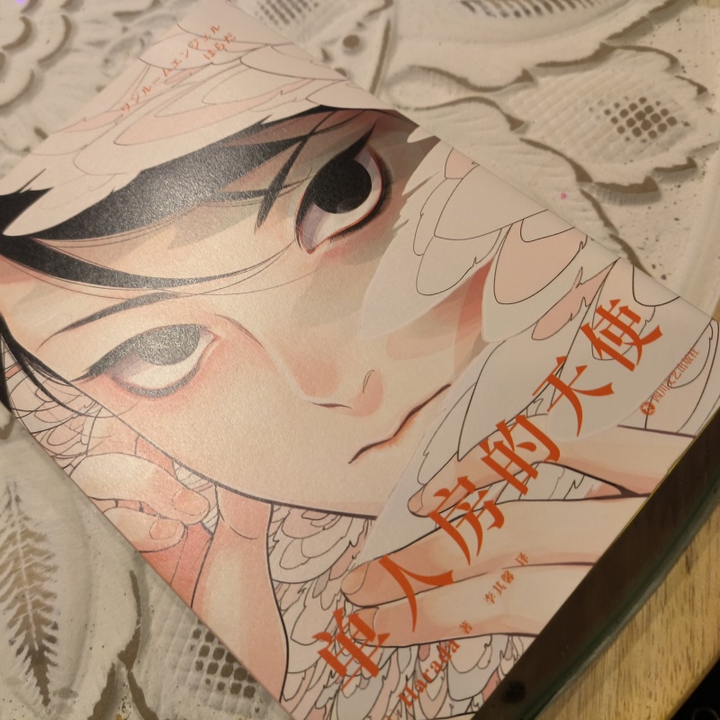 Japanese Single Room Angel Ori - Japanese Lifestyle Books のレビューと価格